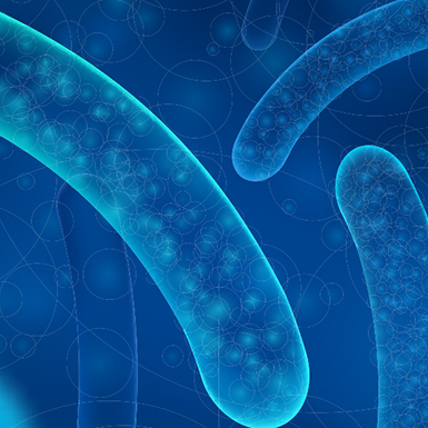 Probiotic microbiome image