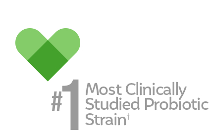 #1 most clinically studies strain