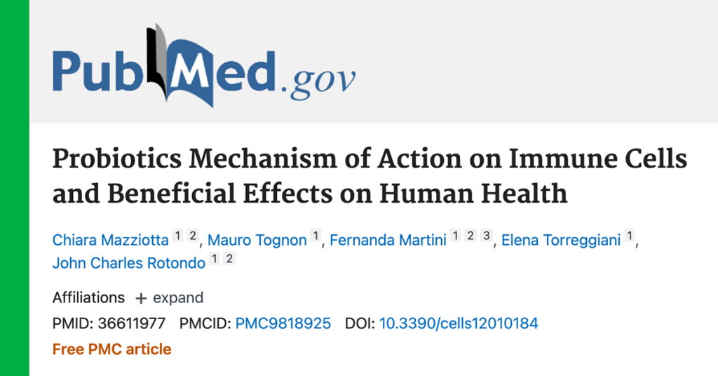 Probiotics mechanism of action on immune cells and beneficial effects on human health. An article by Mazziotta, Tognon, Martini, Torreggiani, and Rotondo.